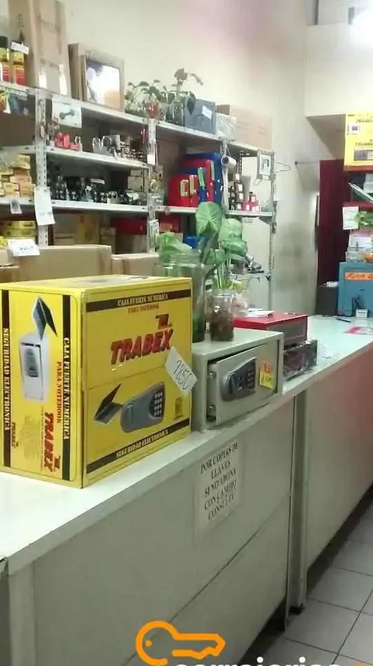 cerrajeria el aleman