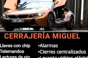 Cerrajería Miguel Llaves con chip-Mandos-lecturas de pin
