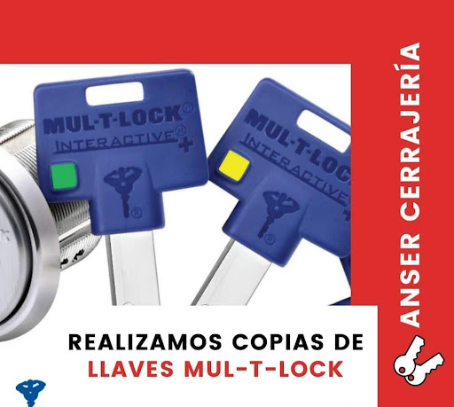 ANSER CERRAJERIA