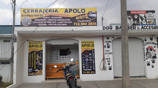 Cerrajería Apolo
