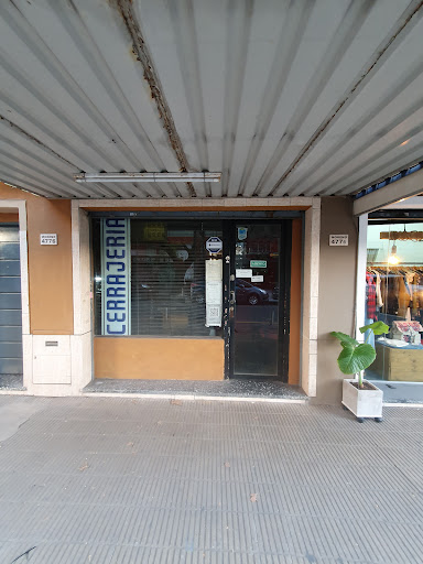 CERRAJERO PARDO