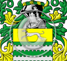 Favis