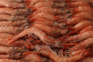 GAMBA CERRAJERIA