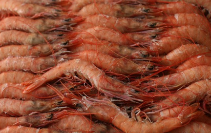 gamba cerrajeria