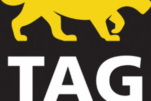 TAGO Seguridad Integral